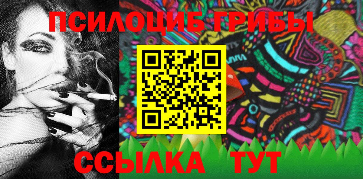 Псилоцибиновые грибы GOLDEN TEACHER  Вход с VPN  Ревда  Галлюциногенные грибы Psilocybine cubensis 